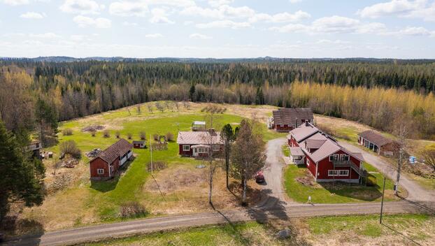 Sokurantie 67, Mieskonmäki, Joutsa