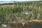 Dronekuva