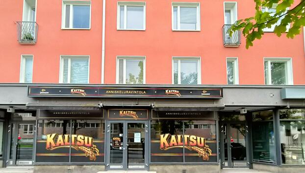 Kalevan Puistotie 17, Kaleva, Tampere