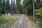 Kuivaniementie 145, Kangasniemi