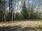 Kuivaniementie Metsätilat, Kutemajärvi, Kangasniemi