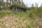 Hevonniementie 206, Vehmersalmi, Kuopio