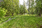 Jynkänniementie 214, Jynkänlahti, Siilinjärvi
