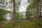 Tavirannantie 142, Sorsasalo, Kuopio