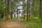 Tavirannantie 142, Sorsasalo, Kuopio