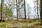 Salmenrannantie 408, Vuolijoki, Kajaani