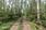 metsäpalsta (metsämaata n. 2 ha ja 40 vuotta vanha istutuskoivikko)