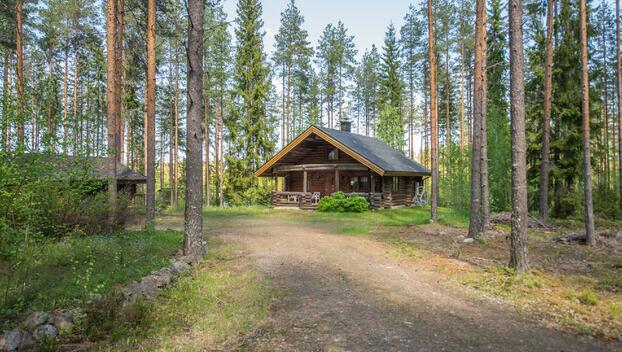 Mustikkamäen metsätie 123, undefinedKurikka