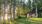 Aittorannantie 24, Riistavesi, Kuopio