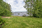 Käänninniementie 810, Onkivesi, Maaninka