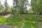 Notkotie 4, Jynkkä, Kuopio