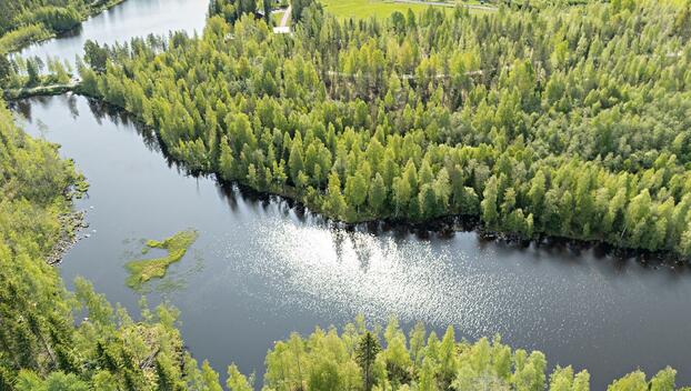 Saviniementie 123, Sotkajärvi, Utajärvi