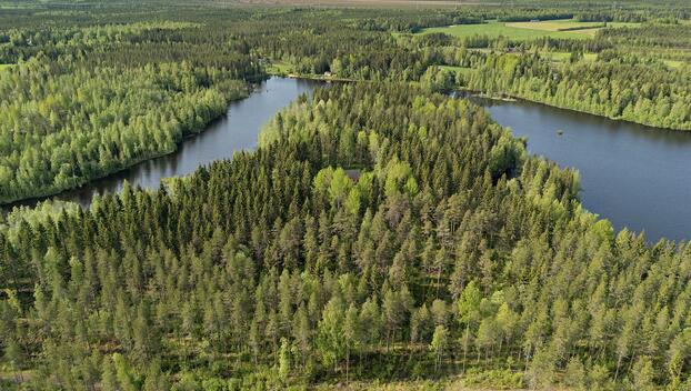 Ristiniementie 16, Sotkajärvi, Utajärvi