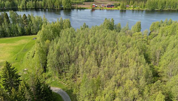 Sotkantie 1259, Sotkajärvi, Utajärvi