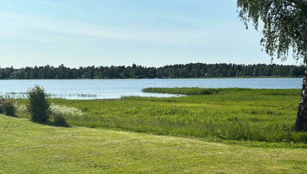 Valkovuokonkatu 3, Tammisaari, Raasepori