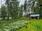 Luotojärventie 278, Kerimäki, Savonlinna