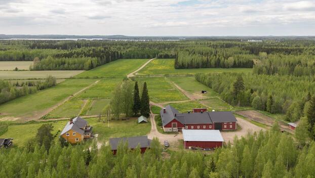 Männistöntie 80, Maavesi, Joroinen