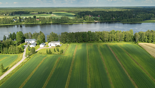 Örönkuja 45, undefinedMuhos