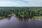 Pykärintie 154, Paukarlahti, Leppävirta