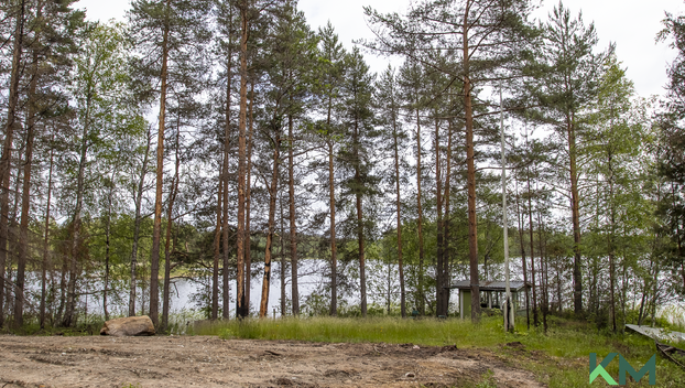 Antinniementie 52, undefinedSavonlinna