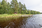 Risuniementie 96, Pelonniemi, Kuopio