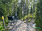 Metsolantie 7, Viuhonmäki, Savonlinna