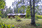 Rekitie 11, Punkaharju, Savonlinna
