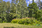 Rekitie 11, Punkaharju, Savonlinna