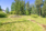 Taloyhtiö on viihtyisä.