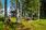 Pirnestie 393, Mieluskosken Kylä, Haapavesi