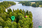 Palonokantie 28, Kyrönlahti, Ylöjärvi