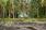 Toittilantie 368, Radansuu, Iitti