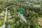 Välikuja 3, Laiska, Valkeakoski