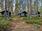 Kokkovuorentie 271, Anttola, Savonlinna