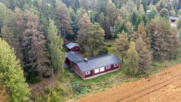 Vahdontie 816, Merttelä, Rusko