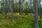 Onas 2, Onas, Porvoo