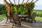 pergola