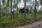 Pihapiirissä metsämaata