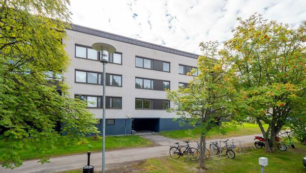 Irmantie 3, Koskela, Oulu