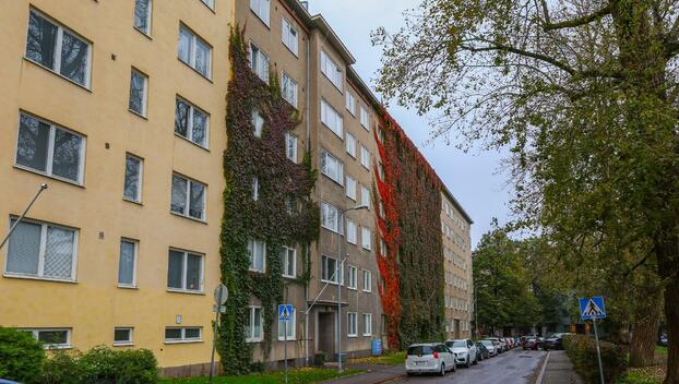 Minna Canthin katu 5, Taka-Töölö, Helsinki