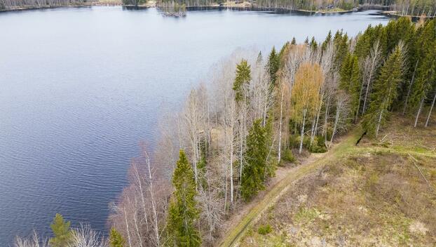 Peltoniementie -, Kolho, Mänttä-Vilppula