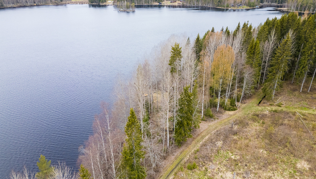 Peltoniementie -, Kolho, Mänttä-Vilppula