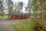 Hernemäentie 21, Hirvilahti, Kuopio