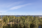 Maisemat Kuikkalammelle sekä Kallavedelle.