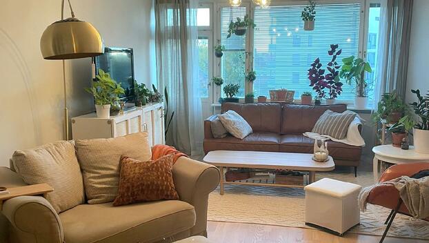 Pajakatu 1, Armonkallio, Tampere