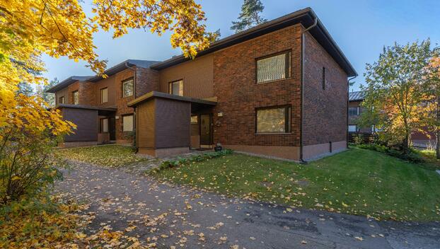 Kuntokuja 4, Puijonlaakso, Kuopio