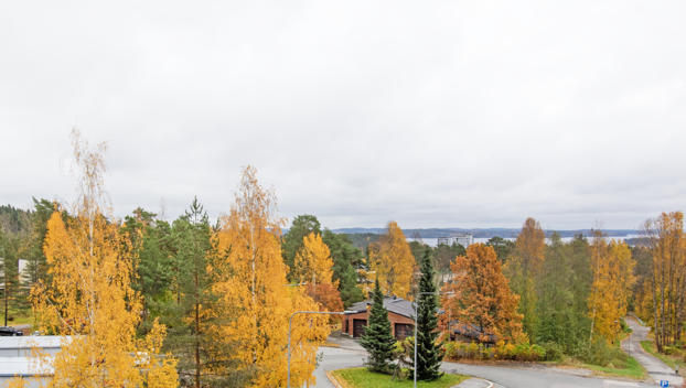 Hiihtäjäntie 9, Puijonlaakso, Kuopio