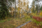 Myllärintie 47, Levänen, Kuopio