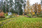 Myllärintie 47, Levänen, Kuopio