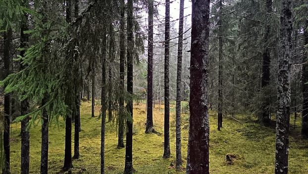 Kivojantie 40, Monninkylä, Askola